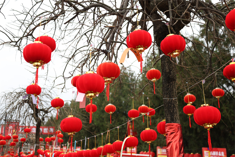 欢欢喜喜闹元宵 团团圆圆迎新生 ——西安万通汽车学校2026年元宵节活动圆满举行