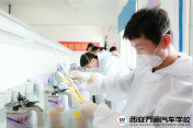 学汽车维修技术  好就业能创业