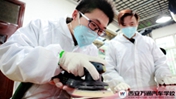做技术人才  提升自己的职业核心竞争力