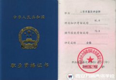 《二手车鉴定评估师》职业资格证  入行求职的“敲门砖”