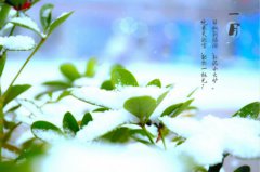 西安万通，陪你一起经历这四季轮回